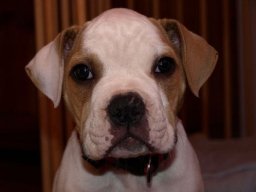 gucci_20211128_1173741238